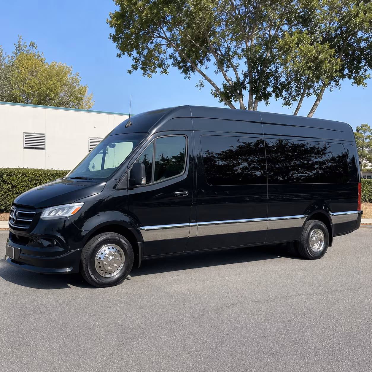 12 passenger sprinter van